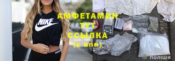 spice Инта