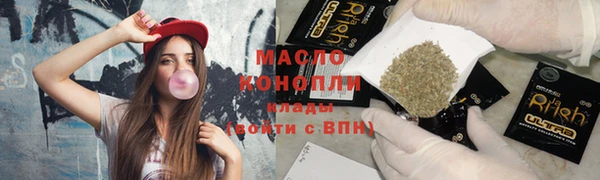 spice Инта