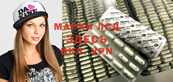 spice Инта