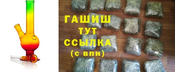 spice Инта