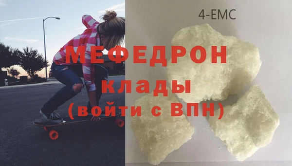 spice Инта