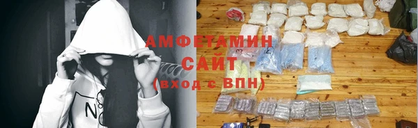 spice Инта