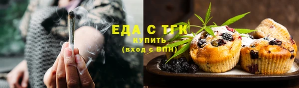spice Инта