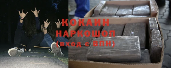 прущие грибы Инсар