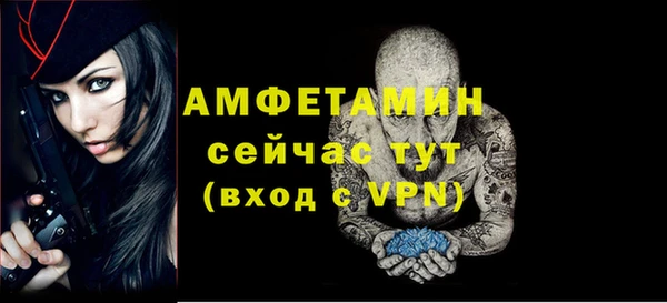 прущие грибы Инсар