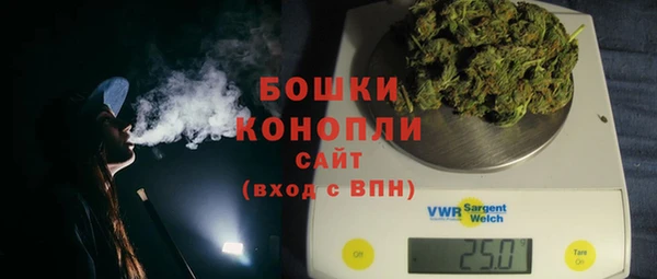 spice Инта