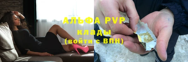 spice Инта