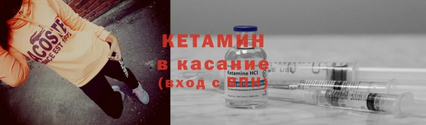 spice Инта