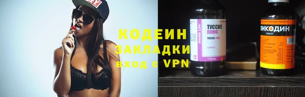 spice Инта