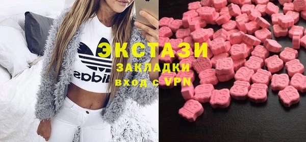 spice Инта