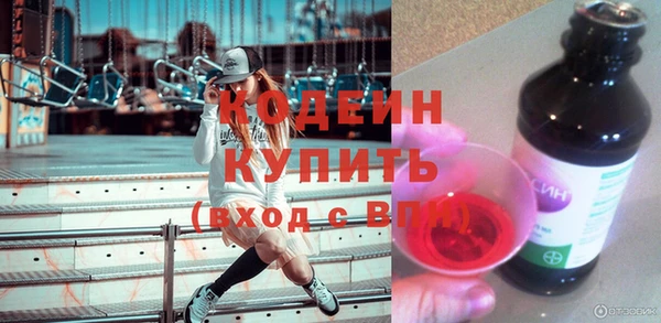 прущие грибы Инсар