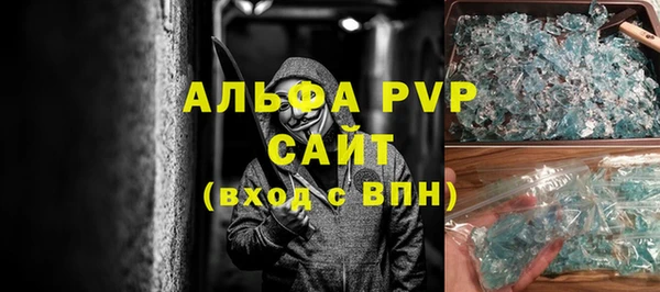 прущие грибы Инсар