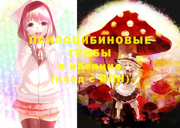 прущие грибы Инсар