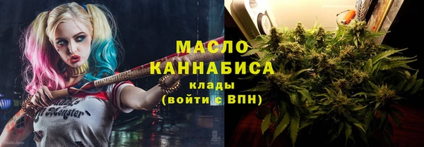 spice Инта