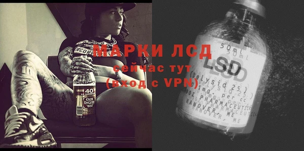 прущие грибы Инсар