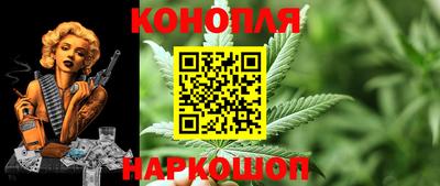 PSILOCYBIN Гусев