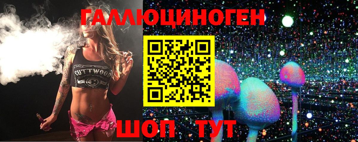 Псилоцибиновые грибы прущие грибы Вологда