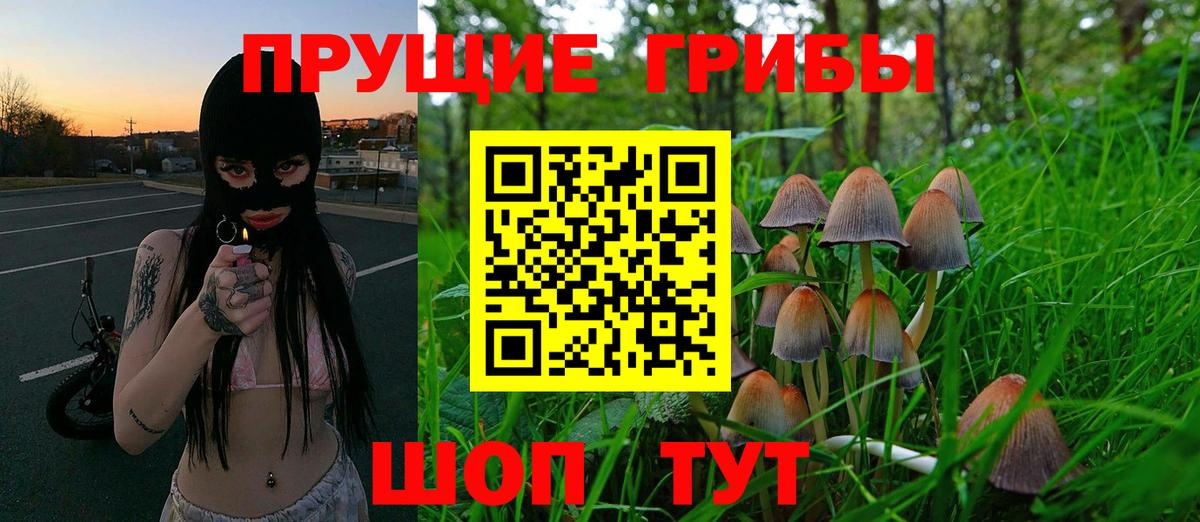 Бошки Шишки Вологда