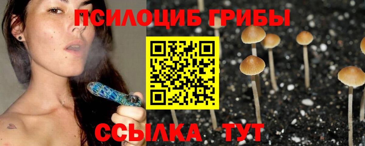 Вологда  Псилоцибиновые грибы Psilocybine cubensis  Вход с VPN 